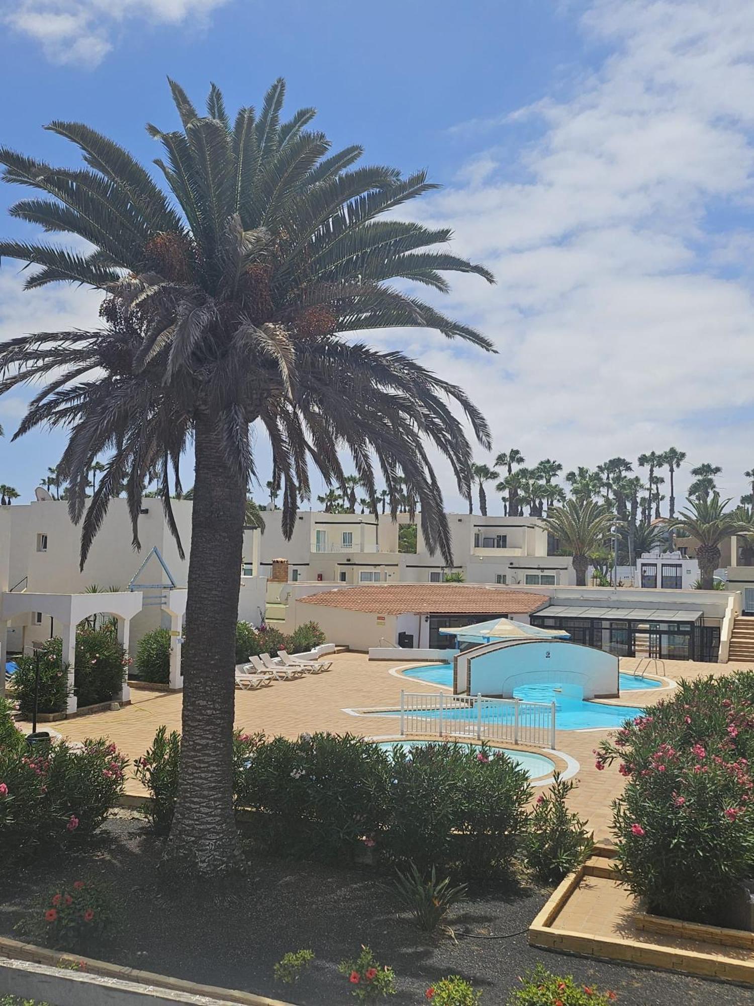 Ferienwohnung New Alisios Playa Corralejo Exterior foto